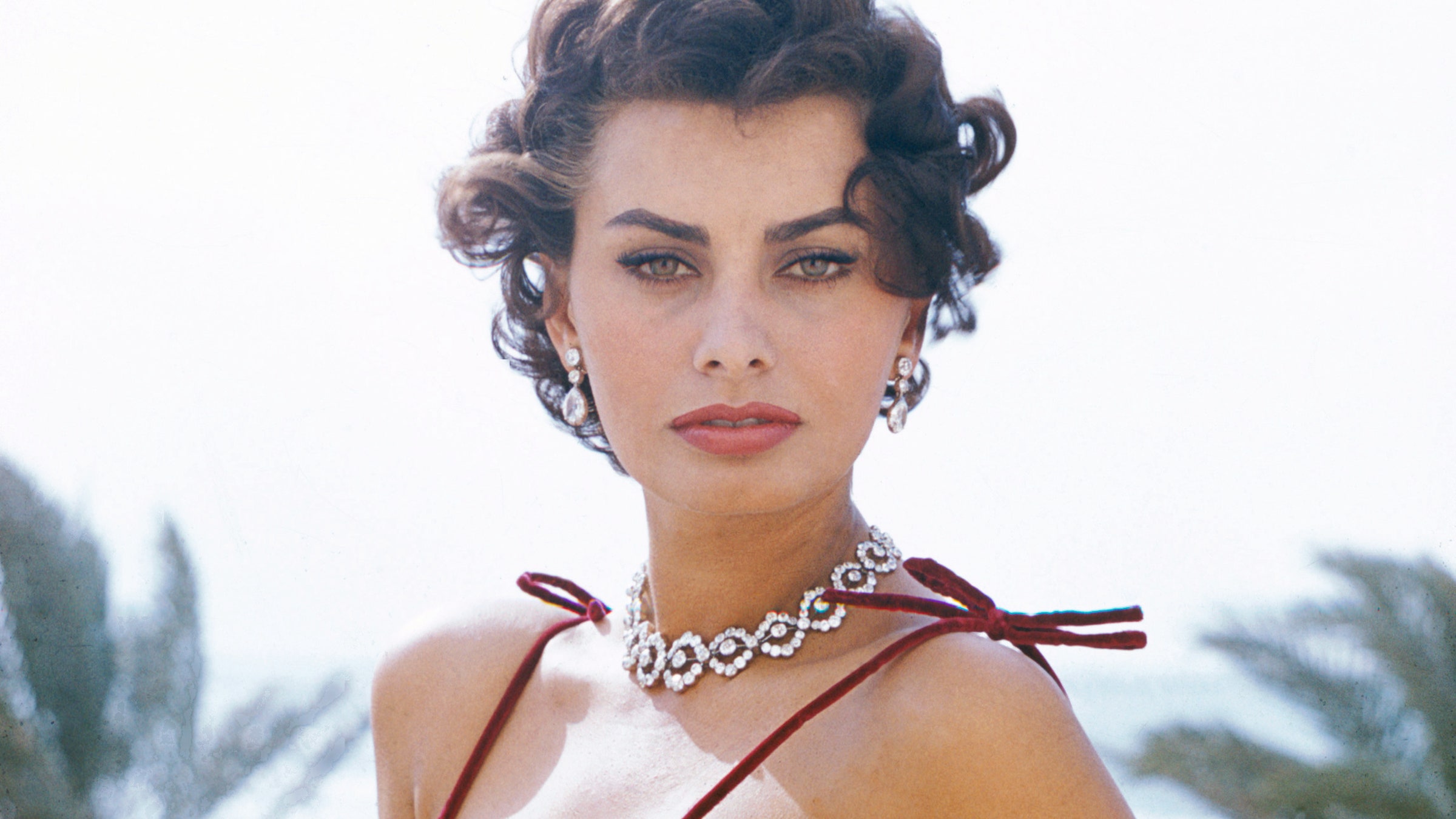 Sophia Loren Body Measurements Boobs Waist Hips